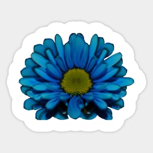 Blue Daisy Sticker